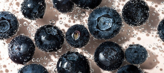 ProGo Protein Bars - Ingredient: Real Blueberries