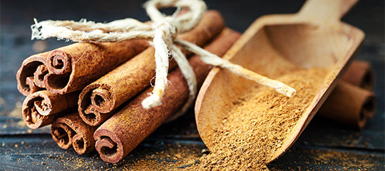 ProGo Protein Bars - Ingredient: Cinammon