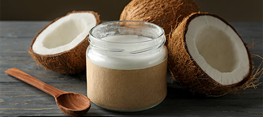ProGo Protein Bars - Ingredient: Coconut