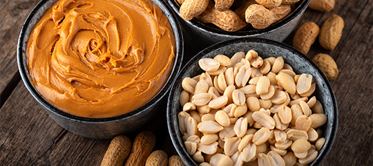 ProGo Protein Bars - Ingredient: Peanut Butter
