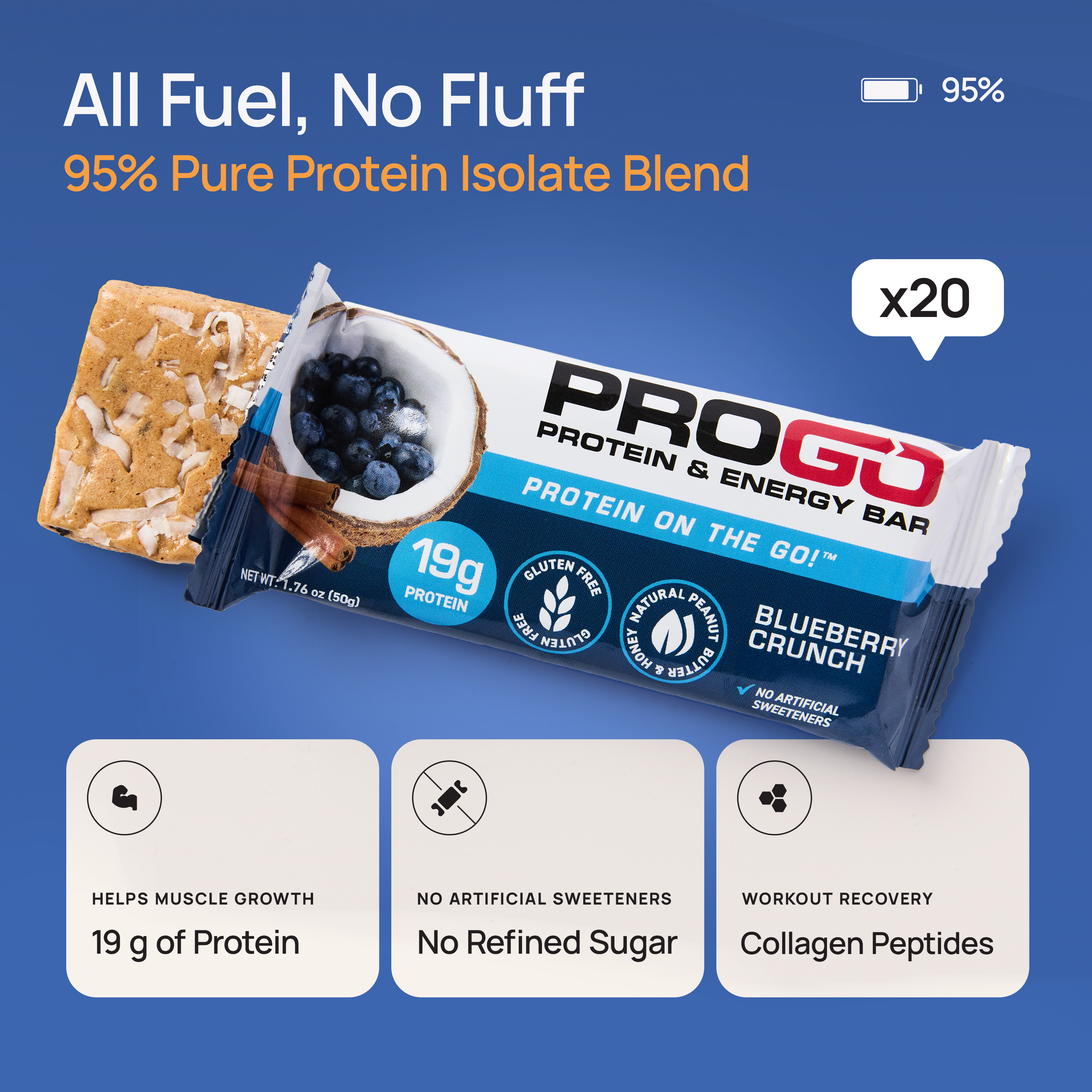 Blueberry Coconut Crunch (20-Count)